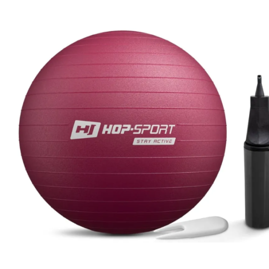 Купить Фитбол  Hop-Sport 45cm HS-R045YB plump  + насос в Киеве - фото №1